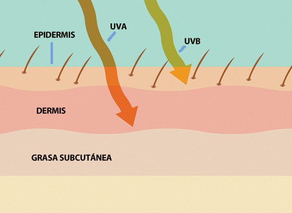 Entrada esposa Cromático Diferencia entre los rayos UVA y UVB | MUMONA