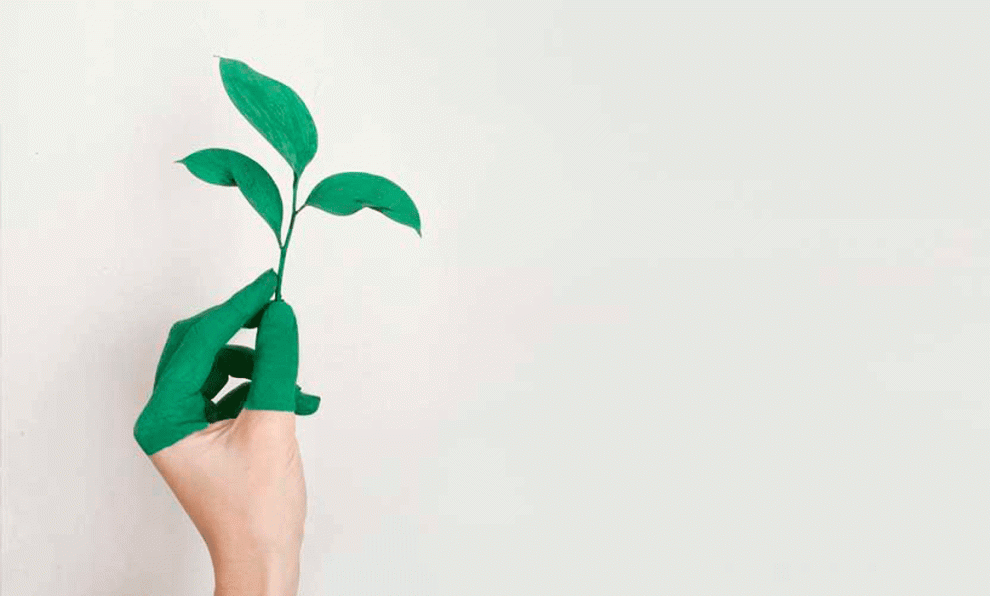 Adiós al “sin” y al “cruelty free” en las etiquetas cosméticas